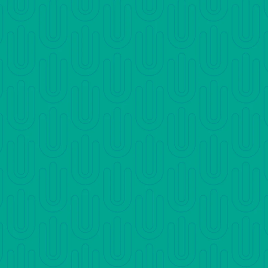 LingoEducatia logo, pattern
